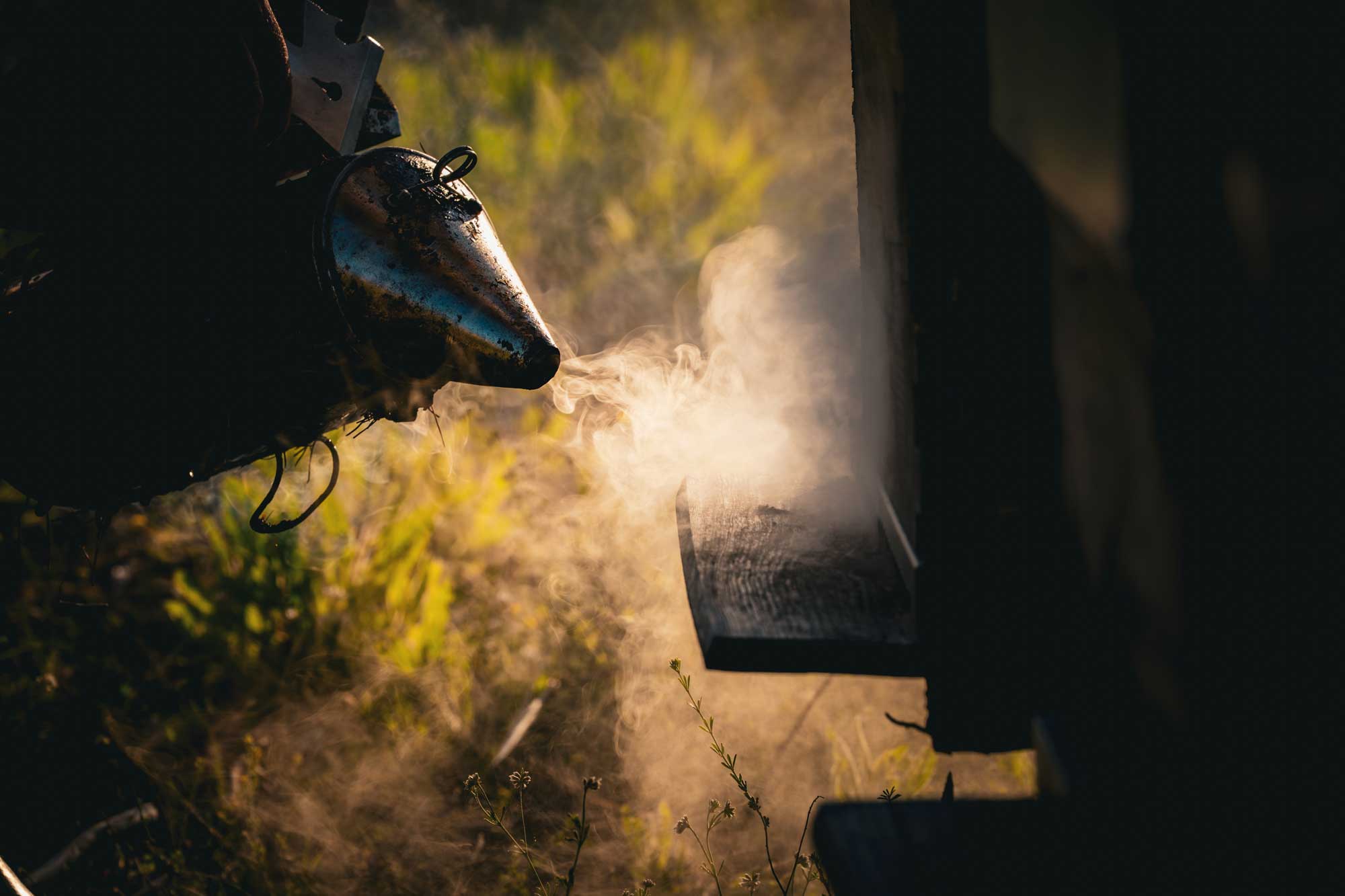 mel caramel foto mel ecologica melcaramel sonreal Mel ecològica de Son Real