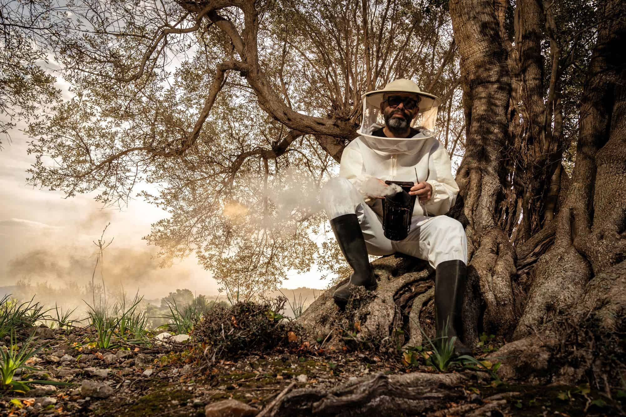 mel caramel mel ecologica monnaber vell Miel ecológica de Monnàber Vell