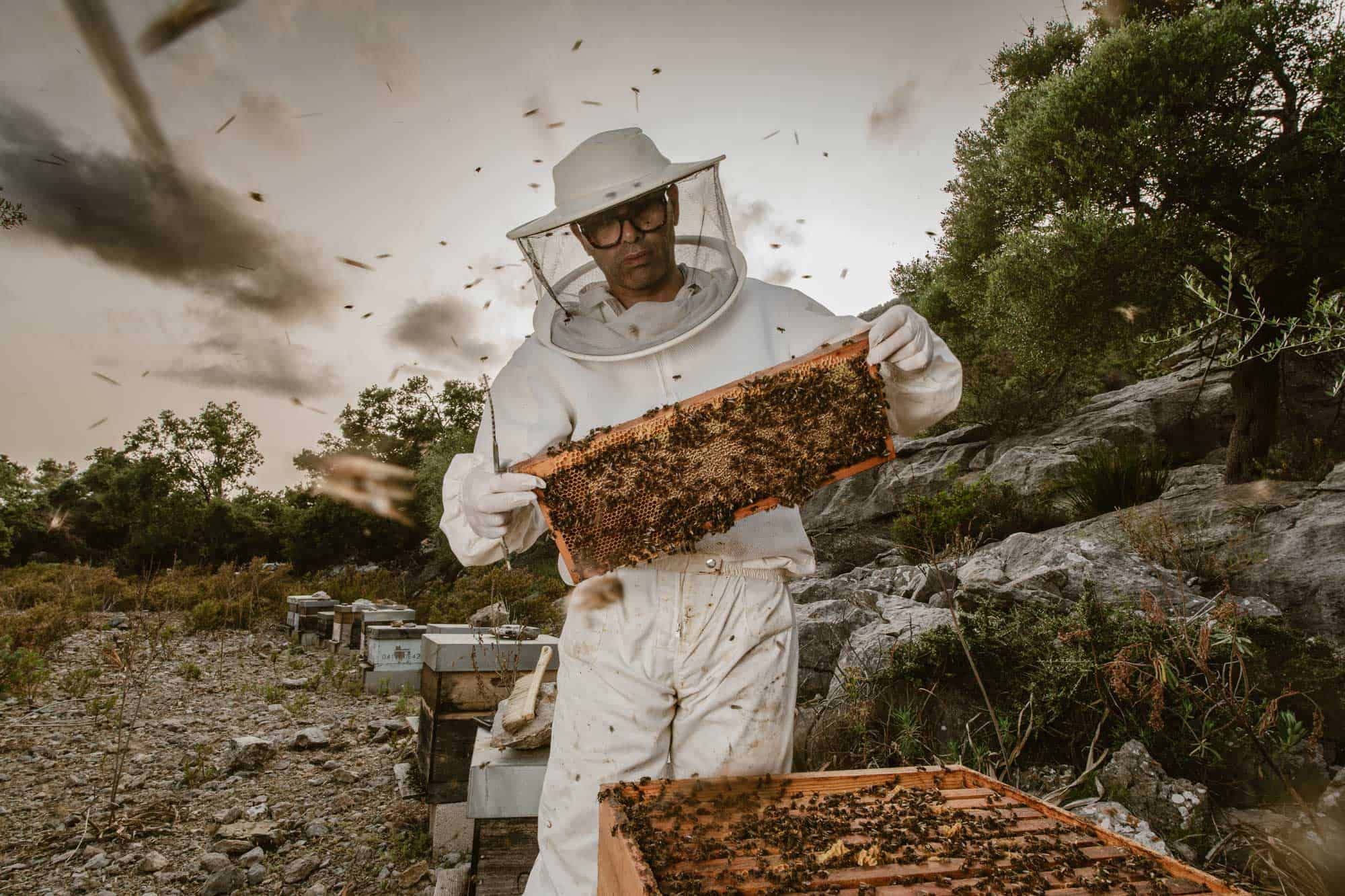 mel caramel mosset2 Bio-Honig von Mosset