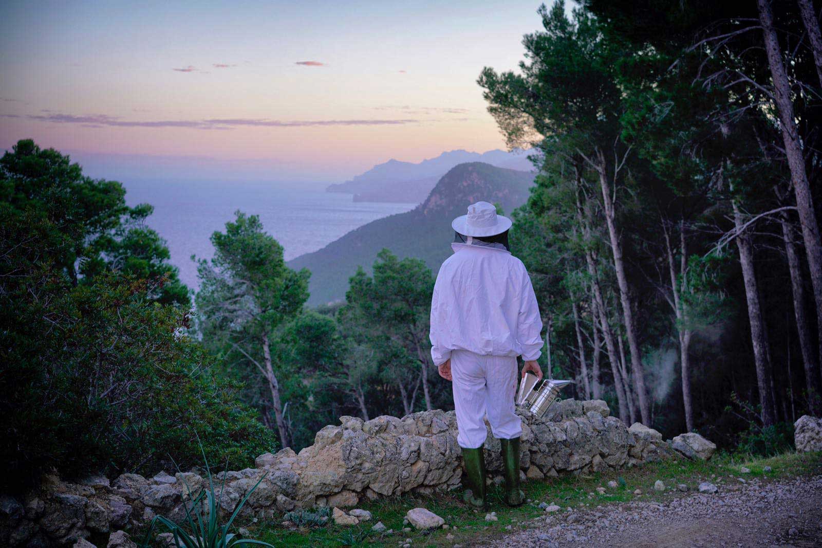 mel caramel rafalplanicia 2 Miel ecológica de Es Rafal de Planícia