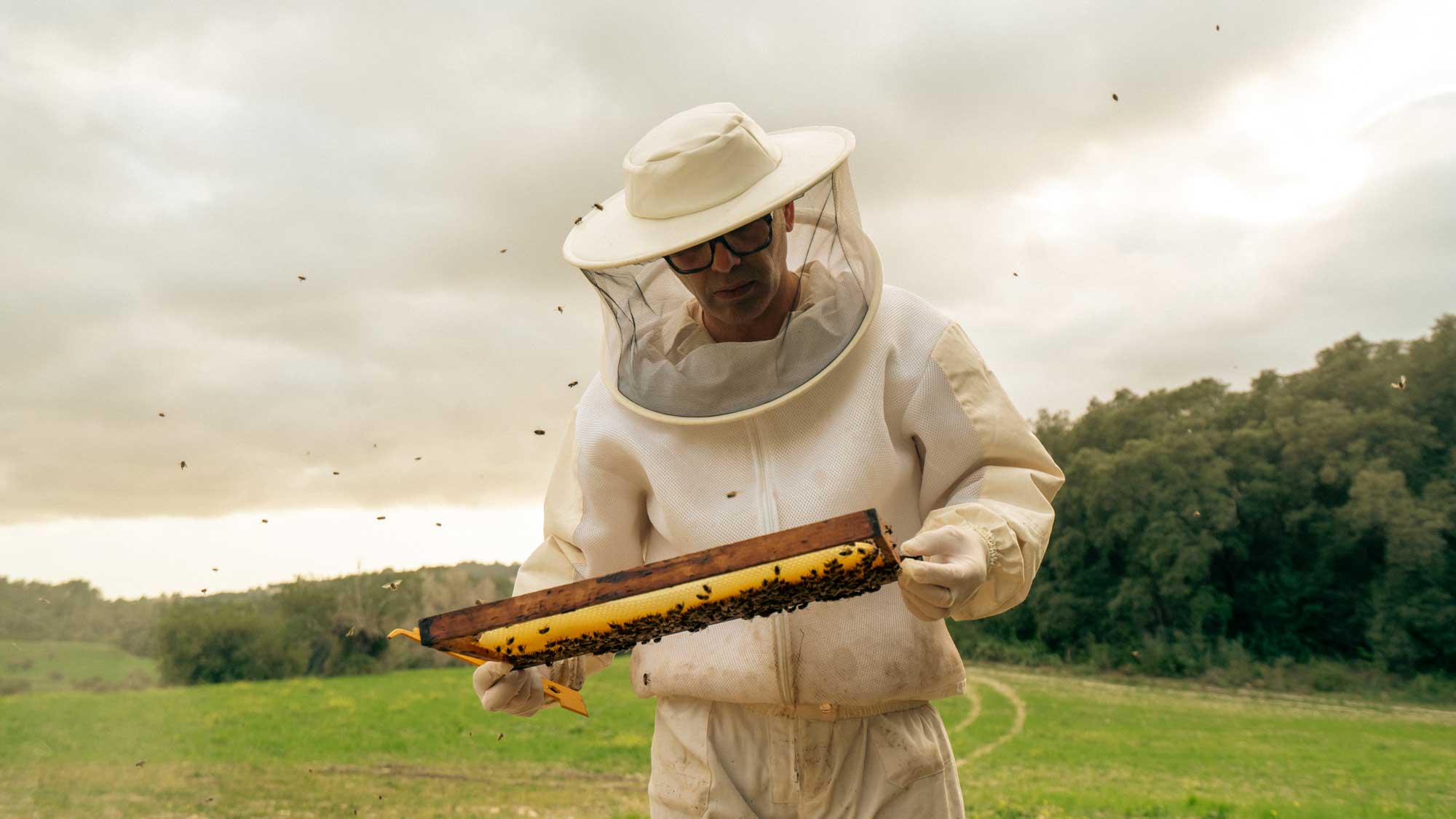 mel caramel mel ecologica foto finca santiani gran 16 1 Bio-Honig aus Mallorca