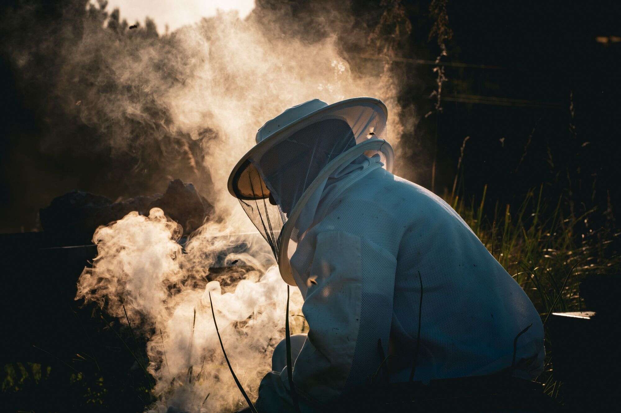 mel caramel FARTARITX Bio-Honig von Fartàritx