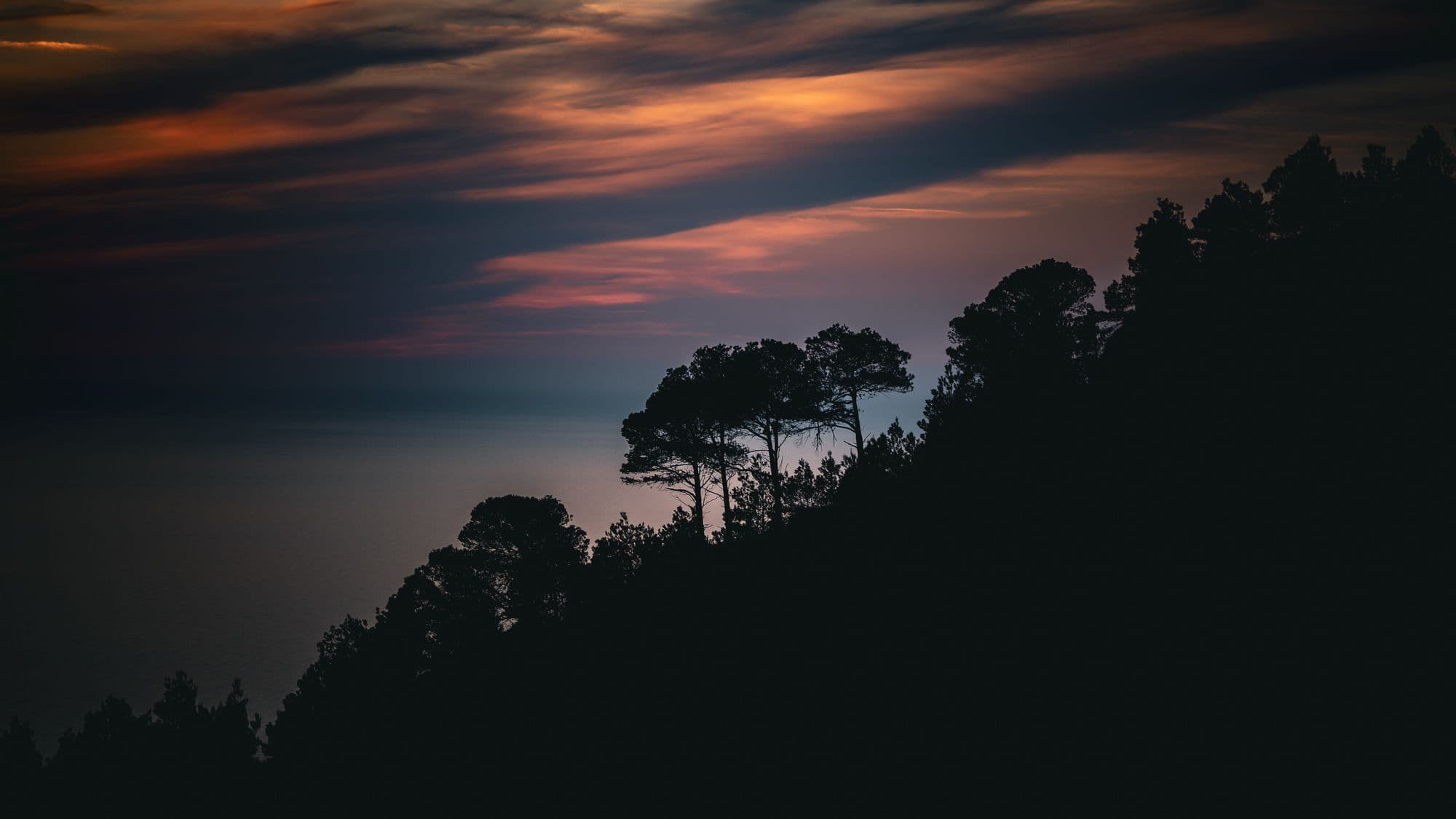 mel caramel ecohoney soncreus 16 9 Bio-Honig aus Mallorca